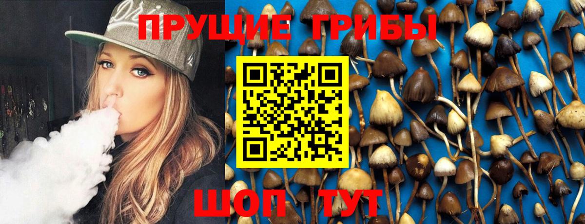 Оренбург  Псилоцибиновые грибы MAGIC MUSHROOMS  Псилоцибиновые грибы Cubensis  Вход с VPN 